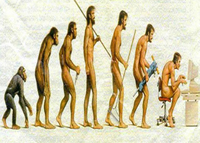 evolução do homem